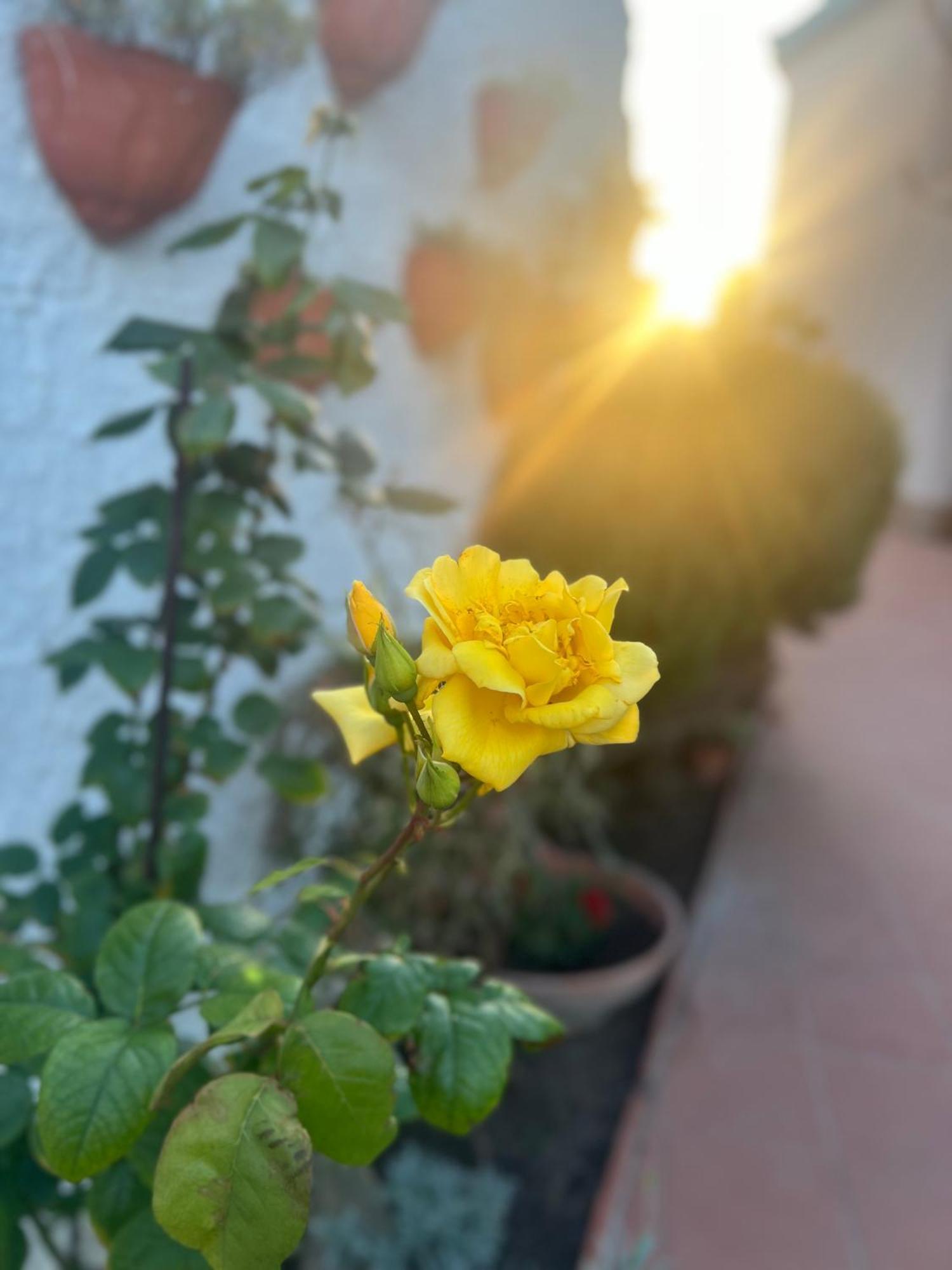 Rosa Dei Venti Ξενοδοχείο Κάλιαρι Εξωτερικό φωτογραφία